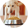 狗粮 (0)
