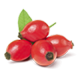 Rosehip